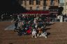La fotogallery dell'accensione dell'albero di Natale delle 17 Contrade